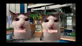 Как я заболела (14 часть) 🐈 2 сезон