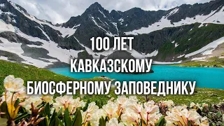 100 ЛЕТ КАВКАЗСКОМУ БИОСФЕРНОМУ ЗАПОВЕДНИКУ