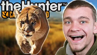 Hunting down a Diamond Mountain Lion!