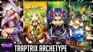 Yu-Gi-Oh! - Traptrix Archetype