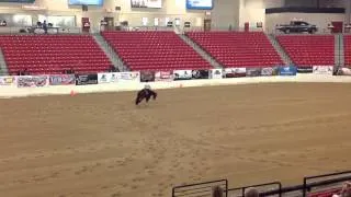 Diamonds N Mercedes at High Roller Reining 2015