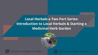 Local Herbals a Two Part Series  Introduction to Local Herbals - Starting a Medicinal Herb Garden