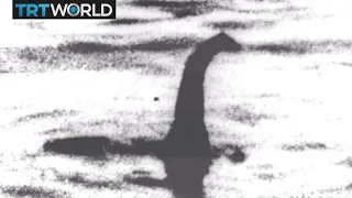 Loch Ness Monster: Scientists rule out presence of large animals