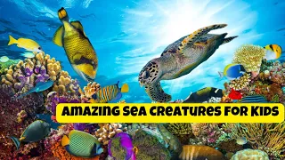 Discover Amazing Sea Creatures for Kids | Marine Life Facts #kidsvideo #sea #seacreatures #abcd