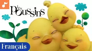 Les poussins | Children's Nursery Song in French | Little Chickies (Français)  | Canticos