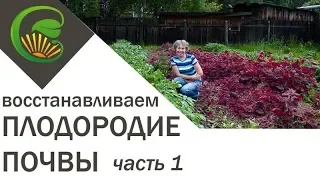 Как я сделала почву плодородной, 1 часть.