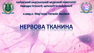 Нервова тканина. Гістологія