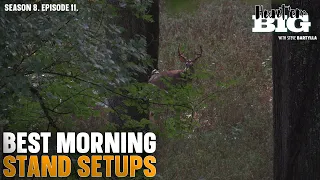 Morning Deer Stand Access: How to Get in Undetected