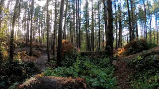 Kinver Freeride Park - MTB