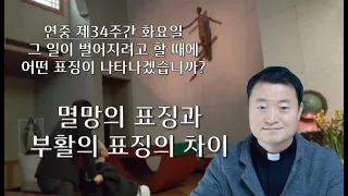 2022 11 22/ 멸망의 표징과 부활의 표징의 차이/ 연중 제34주간 화요일/ 전삼용 요셉 신부