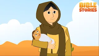Story of Samuel & more | Bible Stories Compilation Video