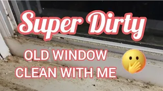 Gross Window Cleaning | Extremely Satisfying Clean with Me | Laundry Catch-Up