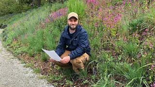 Garry Oak Meadow Garden at UBC Botanical Garden with Ben Stormes