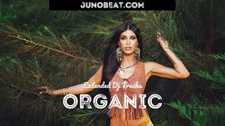 junoBeat Organic 2023-01-13