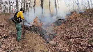 Hardwood Ecosystem Experiment: Prescribed Fire