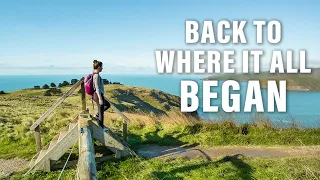 Back to Where it All Began (+ Some Exciting News!) | Godley Head Walking Track
