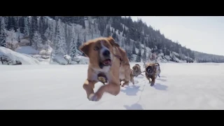 Avalanche Clip | The Call of the Wild | 20th Century Studios | Walt Disney Studios