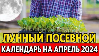 Когда сеять, сажать в апреле? Лунный посевной календарь на апрель 2024, календарь огородника