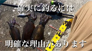 【エギング】コレをしている人は釣れています