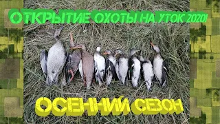 Охота на уток! Открытие! Осенний сезон 2020!  Duck hunting of Yakutia!