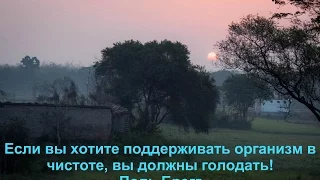 Лечебное голодание