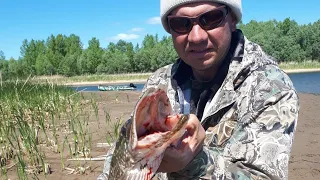 Ловля щуки в октябре на кастмастер.