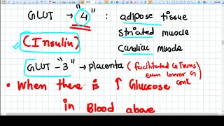 Diabetes in Pregnancy Part 1 - Concept - Medical Disorders of Pregnancy
