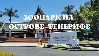 Лучший зоопарк на острове ТЕНЕРИФЕ: ЛОРО ПАРК. Loro park, Tenerife