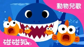 鯊魚一家 |  鯊魚寶寶 | babyshark in Chinese | 動物兒歌 | 碰碰狐！兒童兒歌
