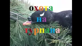 Охота на турпана в Якутии hunting for ducks in Yakutia