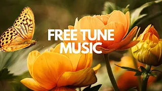 Chill With Me - tubebackr || FREE COPYRIGHT MUSIC