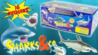 SHARKS & CO Complete Collection 16 Sharks Blind Bags Surprise Altaya Toy Review Juguetes Tiburon