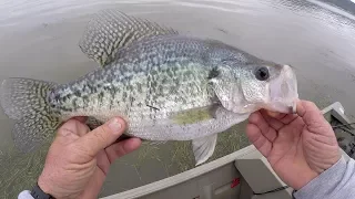 Crappie Fishing - HUGE SLAB! My BIGGEST Crappie On Video! (So Far)