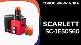 Соковыжималка Scarlett SC-JE50S60
