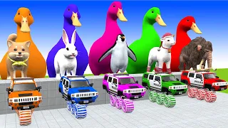 5 Giant Duck, Monkey, Piglet, shiba, dog, elephant, cow, Sheep, Transfiguration funny animal 2023