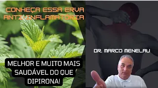 Você precisa conhecer a erva que tem poder cicatrizante e anti-inflamatório