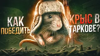 ЗАЧЕМ ВСЕ КРЫСЯТ? КАК ПОБЕДИТЬ? ● Побег из Таркова ● Tarkov ● EFT ● Тарков ● Escape From Tarkov