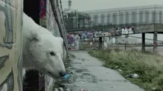 A Homeless Polar Bear in London - Ft. Jude Law and Radiohead