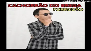 CACHORRAO DO BREGA FORROZAO 2019