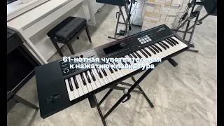 Синтезатор Roland JUNO-DS61 | vismedia.ru