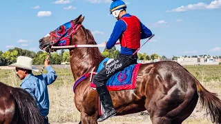 Duelo De Titanes | El Chachito Vs El Relampago, Tapias Race Track Durango Mex.