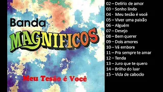 Banda Magníficos - Meu tesão é você - Vol.02