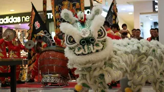 [Giải Lân Địa Bửu Sc vivo city 2018] Hoằng Đức [lion dance championship Sc vivocity]