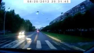 Кошка переходит дорогу / Cat crossing the road