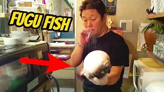 Most Poisonous Fish Sashimi [FUGU Fish Filleting]