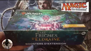 I open a box of 30 expansion boosters, The Wastelands of Eldraine, Magic The Gathering cards