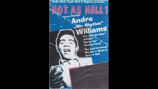 André Williams and the Countdowns - Live Europe 98