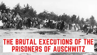 The BRUTAL Executions Of The Prisoners Of Auschwitz