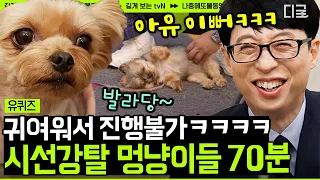 [#유퀴즈온더블럭] (70분) 배 긁어주는 남자 조셉과 함께한 시선 강탈 유퀴즈 반려견🐶 그리고 조금 큰… 고양이🐯 | #나중에또볼동영상