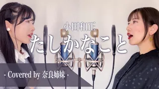 【女性がハモって歌う】たしかなこと / 小田和正 Covered by 奈良姉妹